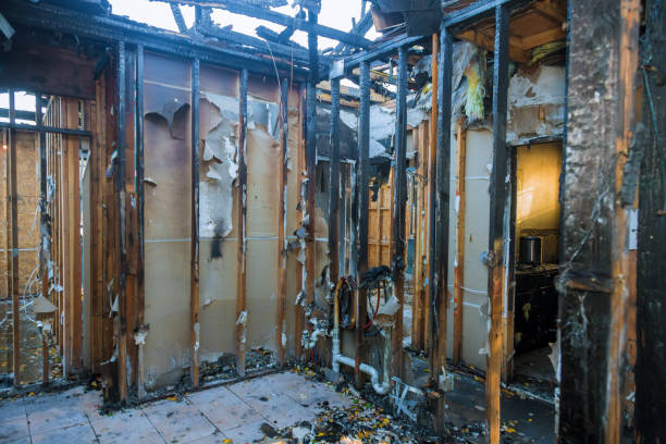 Professional Fire Board Up technician working in Pinellas Park, FL