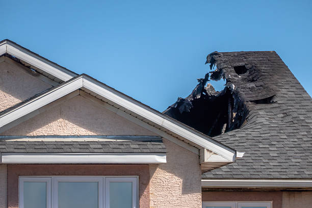Top rated local Fire Board Up specialists in Pinellas Park, FL